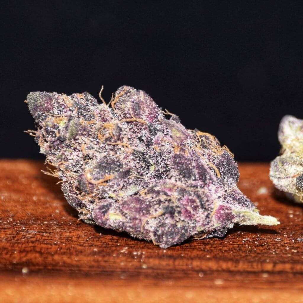 Tropicanna Cookies Sativa Strain 253 Flower Spec Sheet