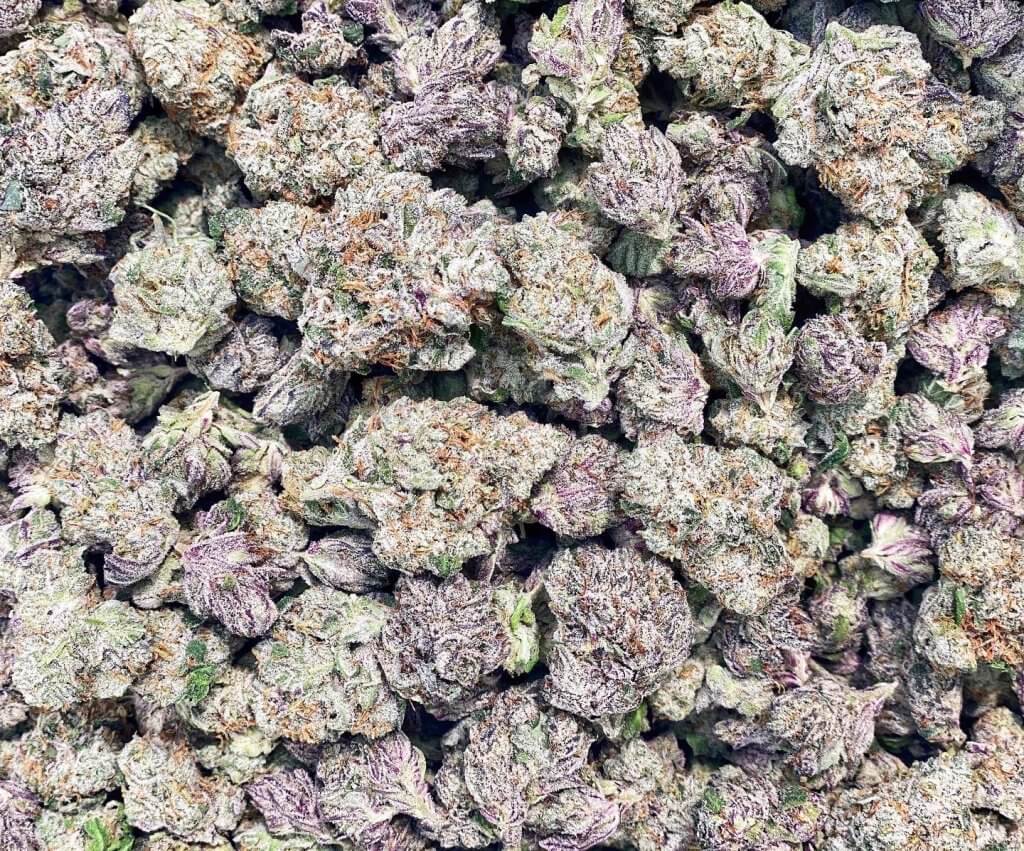 Blackcherry Punch Indica Strain 253 Flower Spec Sheet