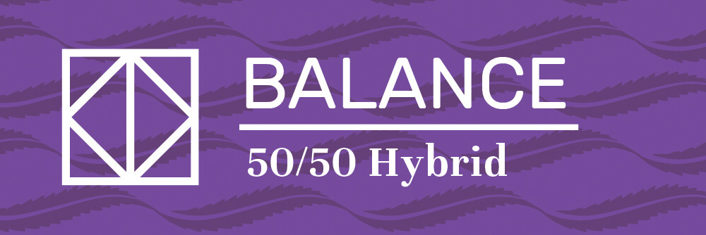 50/50 Hybrid Marijuana Strain