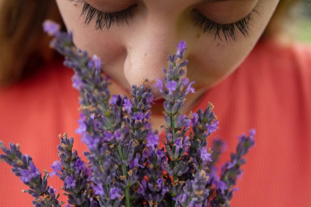 woman smelling lavender flowers