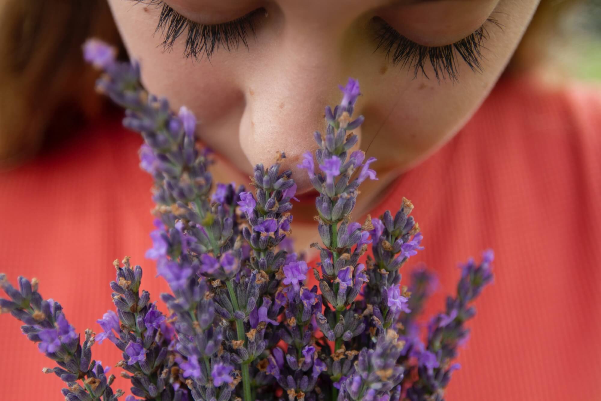 woman smelling lavender flowers